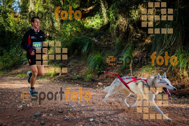 Esport Foto - Esportfoto .CAT - Fotos de 90 Canicross i Cursa Eramprunyà 2015 - Dorsal [421] -   1424642830_0346.jpg