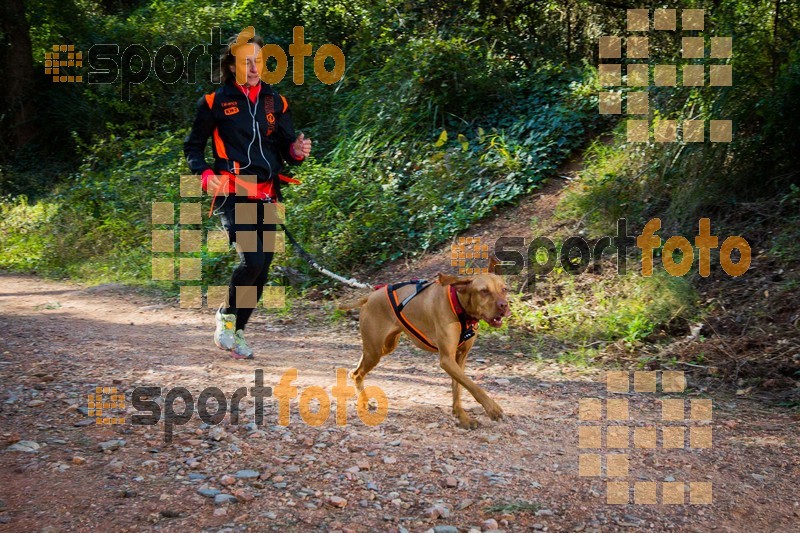 Esport Foto - Esportfoto .CAT - Fotos de 90 Canicross i Cursa Eramprunyà 2015 - Dorsal [0] -   1424642844_0353.jpg