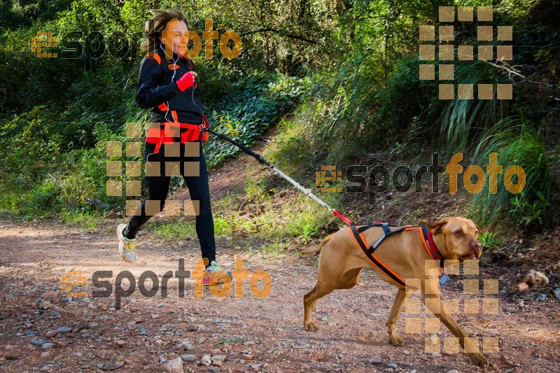 Esport Foto - Esportfoto .CAT - Fotos de 90 Canicross i Cursa Eramprunyà 2015 - Dorsal [0] -   1424642846_0354.jpg
