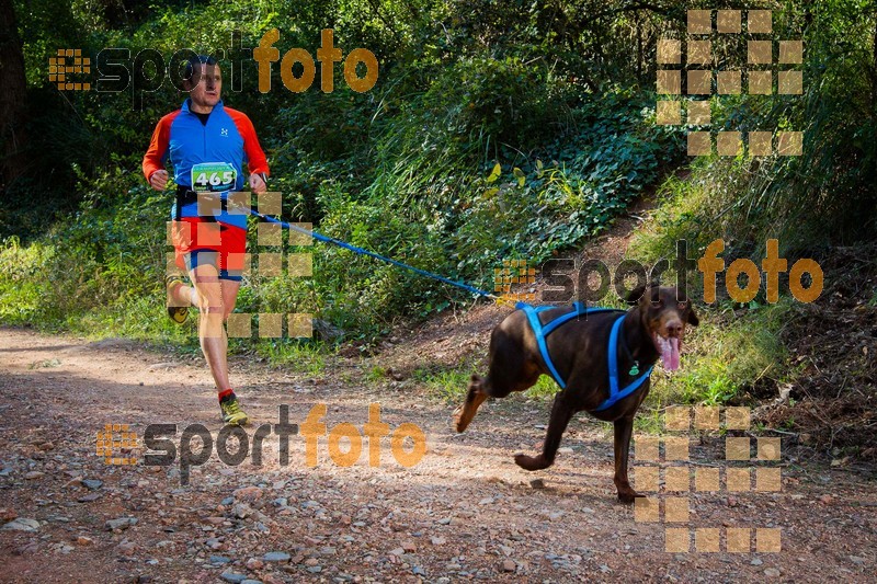 Esport Foto - Esportfoto .CAT - Fotos de 90 Canicross i Cursa Eramprunyà 2015 - Dorsal [465] -   1424642853_0357.jpg