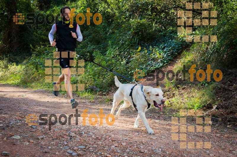 Esport Foto - Esportfoto .CAT - Fotos de 90 Canicross i Cursa Eramprunyà 2015 - Dorsal [0] -   1424642858_0360.jpg