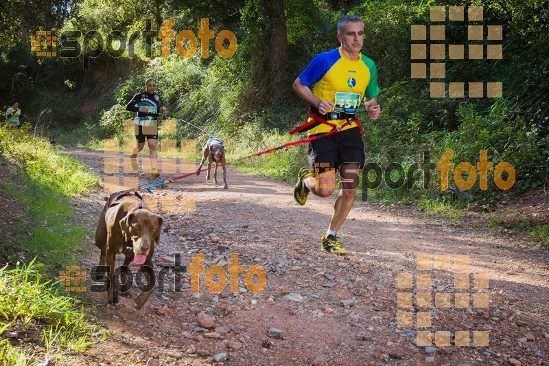 Esport Foto - Esportfoto .CAT - Fotos de 90 Canicross i Cursa Eramprunyà 2015 - Dorsal [451] -   1424642862_0362.jpg