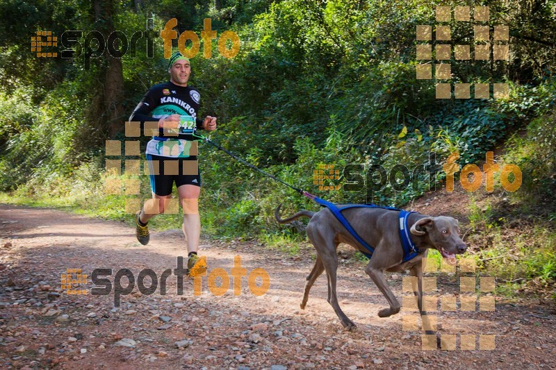 Esport Foto - Esportfoto .CAT - Fotos de 90 Canicross i Cursa Eramprunyà 2015 - Dorsal [442] -   1424642867_0364.jpg