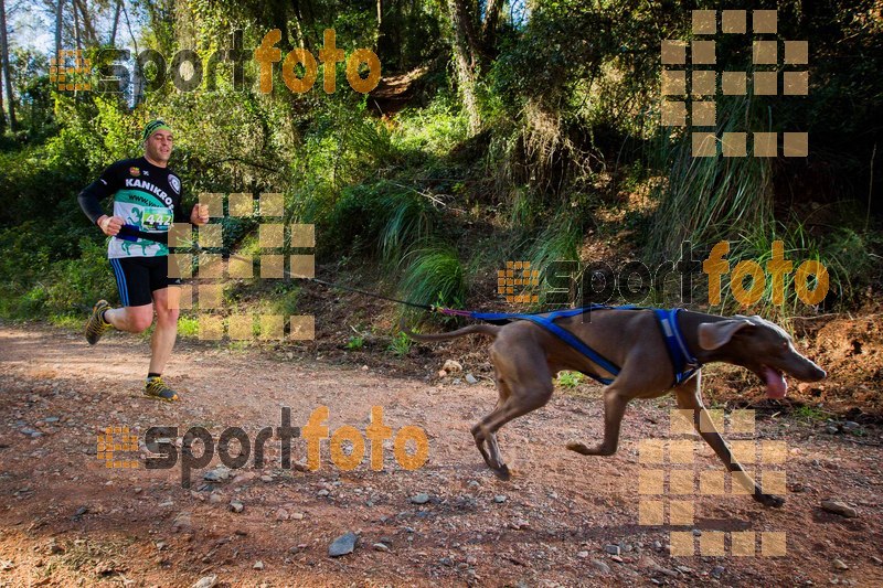 Esport Foto - Esportfoto .CAT - Fotos de 90 Canicross i Cursa Eramprunyà 2015 - Dorsal [442] -   1424642870_0365.jpg