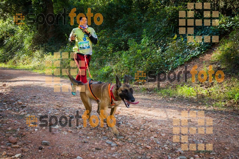 Esport Foto - Esportfoto .CAT - Fotos de 90 Canicross i Cursa Eramprunyà 2015 - Dorsal [425] -   1424642872_0366.jpg