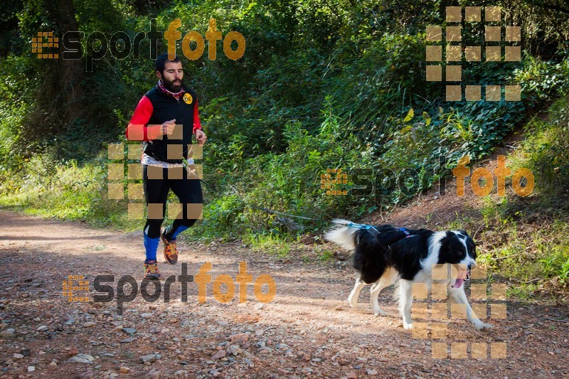 Esport Foto - Esportfoto .CAT - Fotos de 90 Canicross i Cursa Eramprunyà 2015 - Dorsal [0] -   1424642876_0368.jpg