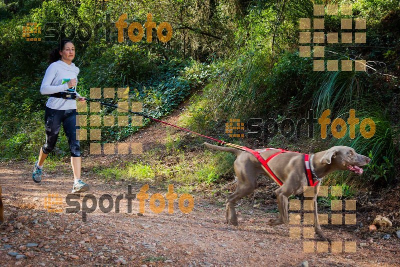 Esport Foto - Esportfoto .CAT - Fotos de 90 Canicross i Cursa Eramprunyà 2015 - Dorsal [419] -   1424642882_0371.jpg