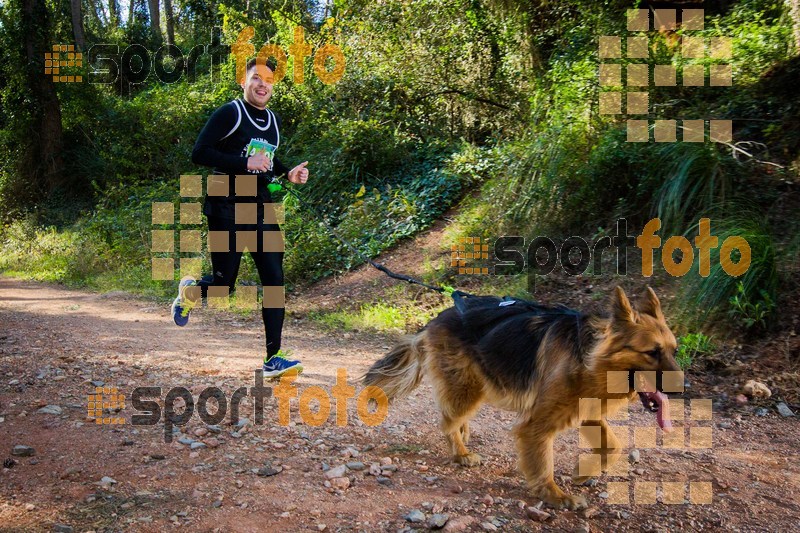 Esport Foto - Esportfoto .CAT - Fotos de 90 Canicross i Cursa Eramprunyà 2015 - Dorsal [460] -   1424642893_0376.jpg