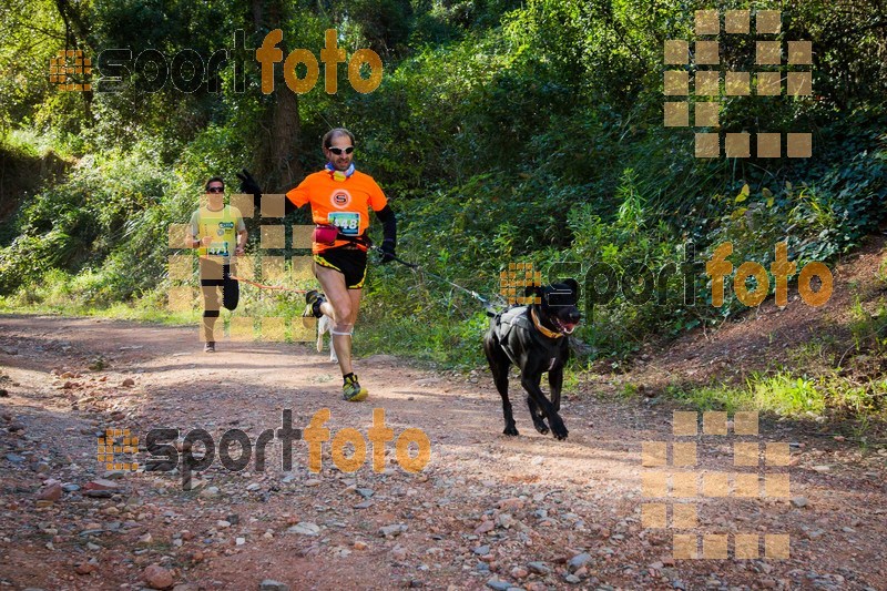 Esport Foto - Esportfoto .CAT - Fotos de 90 Canicross i Cursa Eramprunyà 2015 - Dorsal [448] -   1424642895_0377.jpg