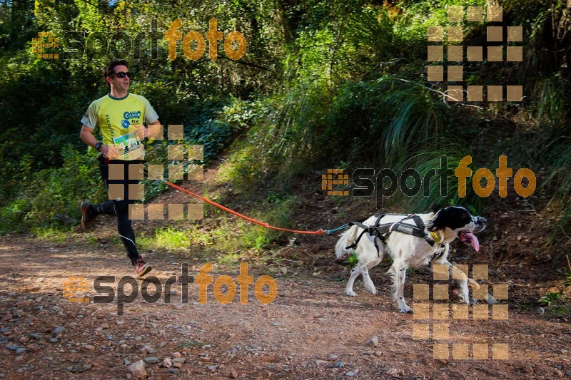 Esport Foto - Esportfoto .CAT - Fotos de 90 Canicross i Cursa Eramprunyà 2015 - Dorsal [471] -   1424642905_0381.jpg