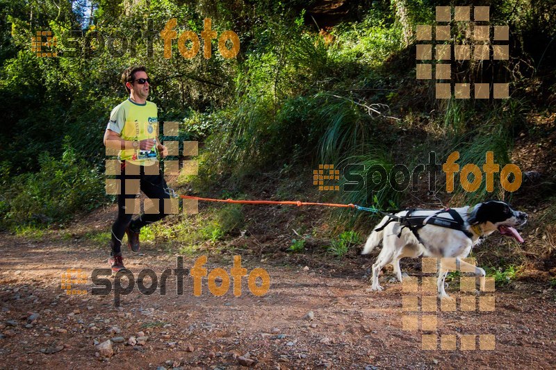 Esport Foto - Esportfoto .CAT - Fotos de 90 Canicross i Cursa Eramprunyà 2015 - Dorsal [471] -   1424642907_0382.jpg