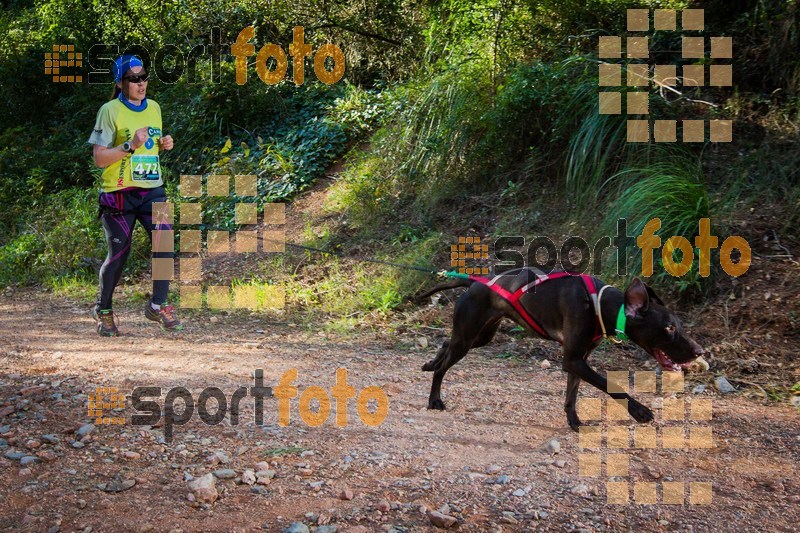 Esport Foto - Esportfoto .CAT - Fotos de 90 Canicross i Cursa Eramprunyà 2015 - Dorsal [472] -   1424642911_0384.jpg
