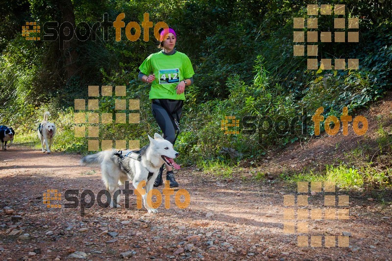 Esport Foto - Esportfoto .CAT - Fotos de 90 Canicross i Cursa Eramprunyà 2015 - Dorsal [412] -   1424642913_0385.jpg