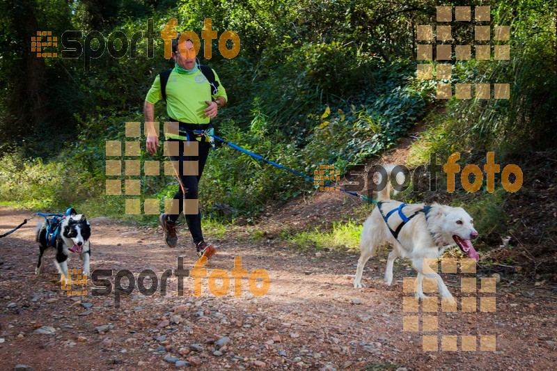 Esport Foto - Esportfoto .CAT - Fotos de 90 Canicross i Cursa Eramprunyà 2015 - Dorsal [0] -   1424642917_0387.jpg