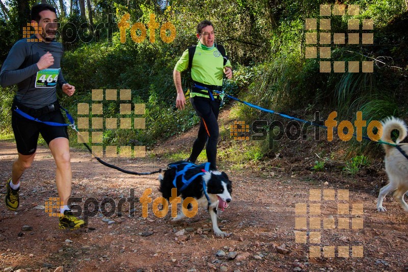 Esport Foto - Esportfoto .CAT - Fotos de 90 Canicross i Cursa Eramprunyà 2015 - Dorsal [464] -   1424642919_0388.jpg