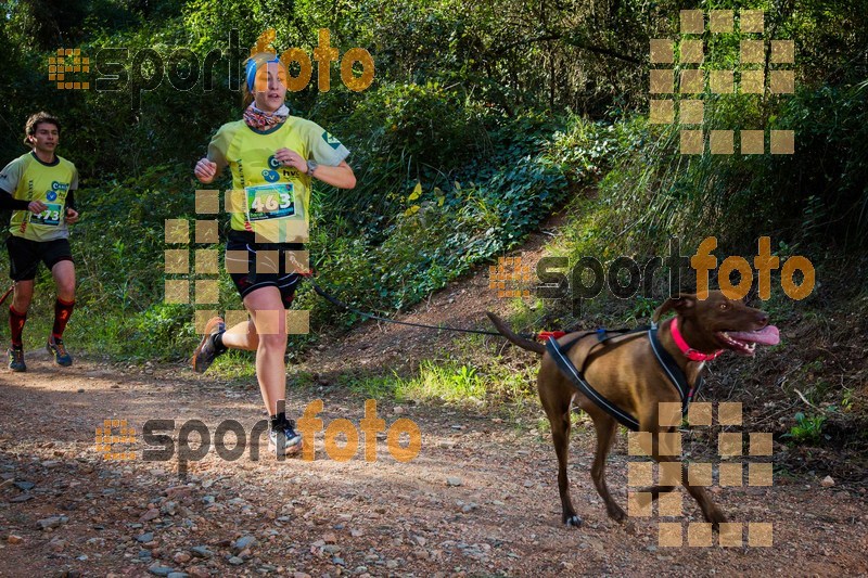 Esport Foto - Esportfoto .CAT - Fotos de 90 Canicross i Cursa Eramprunyà 2015 - Dorsal [463] -   1424642930_0393.jpg