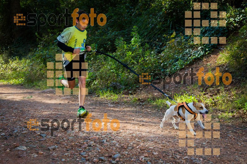 Esport Foto - Esportfoto .CAT - Fotos de 90 Canicross i Cursa Eramprunyà 2015 - Dorsal [438] -   1424642942_0398.jpg