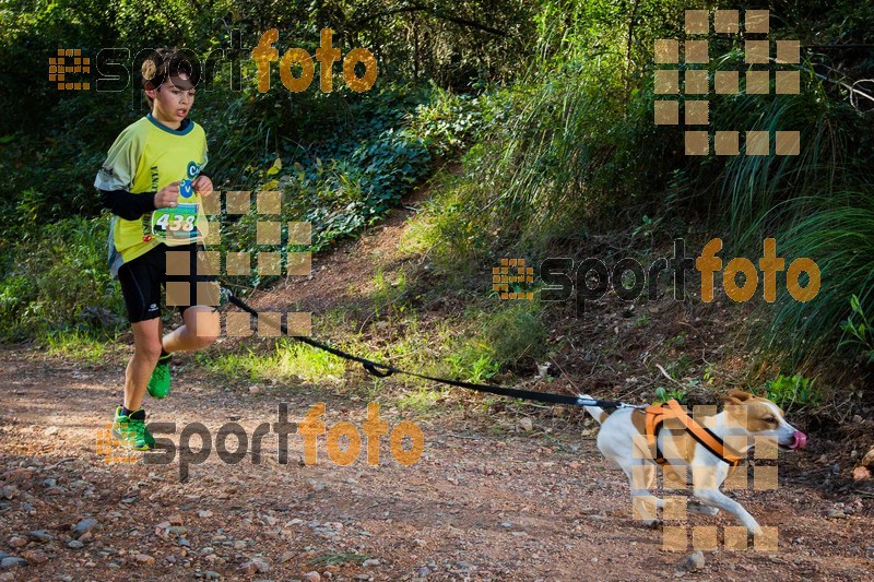Esport Foto - Esportfoto .CAT - Fotos de 90 Canicross i Cursa Eramprunyà 2015 - Dorsal [438] -   1424642943_0399.jpg