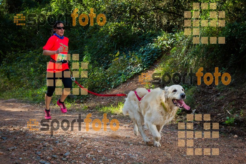 Esport Foto - Esportfoto .CAT - Fotos de 90 Canicross i Cursa Eramprunyà 2015 - Dorsal [470] -   1424642950_0402.jpg