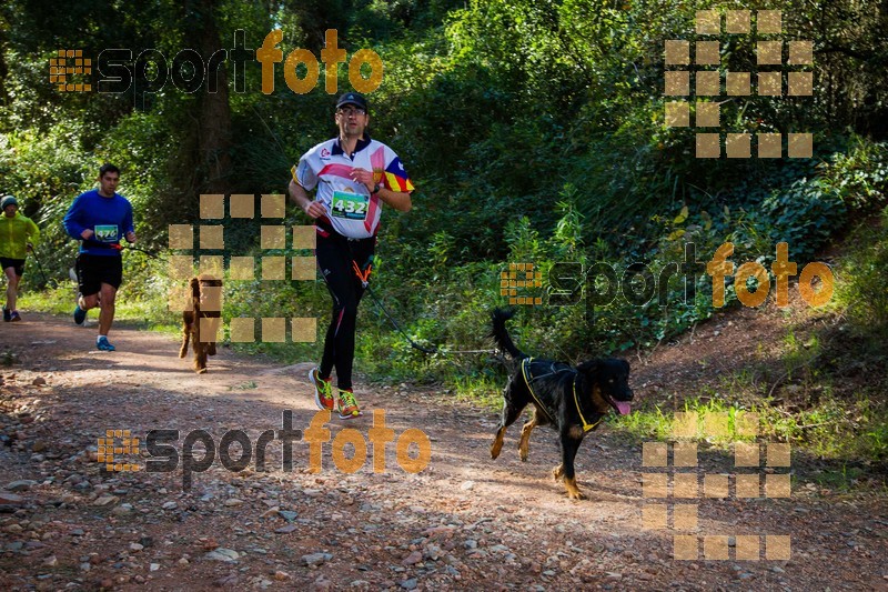 Esport Foto - Esportfoto .CAT - Fotos de 90 Canicross i Cursa Eramprunyà 2015 - Dorsal [432] -   1424642954_0404.jpg