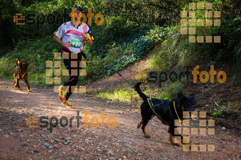 Esport Foto - Esportfoto .CAT - Fotos de 90 Canicross i Cursa Eramprunyà 2015 - Dorsal [432] -   1424642956_0405.jpg