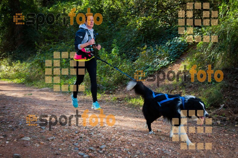 Esport Foto - Esportfoto .CAT - Fotos de 90 Canicross i Cursa Eramprunyà 2015 - Dorsal [405] -   1424642979_0415.jpg