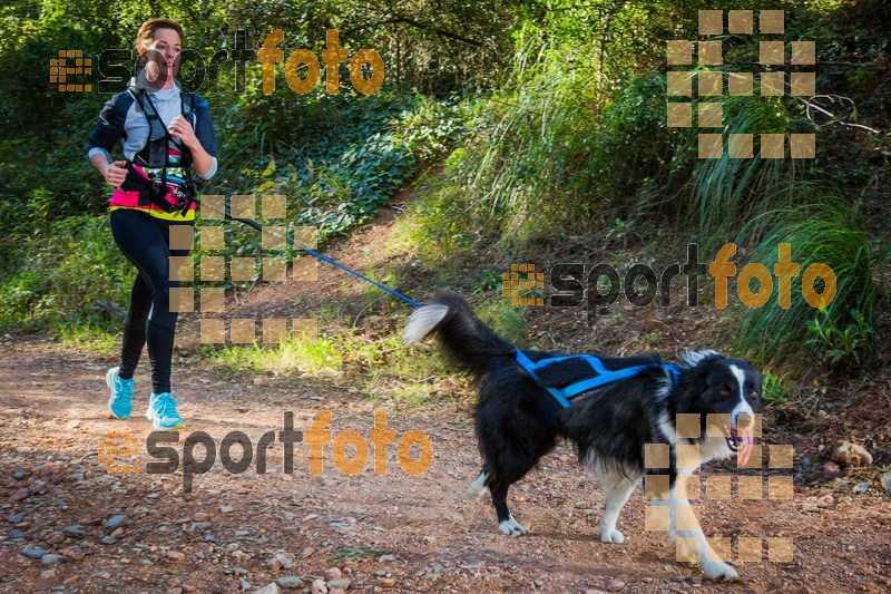Esport Foto - Esportfoto .CAT - Fotos de 90 Canicross i Cursa Eramprunyà 2015 - Dorsal [405] -   1424642981_0416.jpg