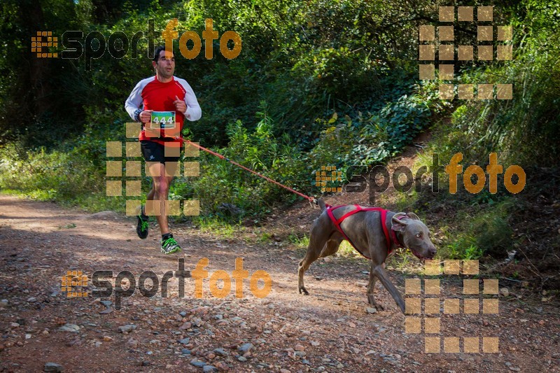 Esport Foto - Esportfoto .CAT - Fotos de 90 Canicross i Cursa Eramprunyà 2015 - Dorsal [444] -   1424642986_0418.jpg