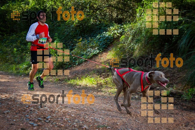 Esport Foto - Esportfoto .CAT - Fotos de 90 Canicross i Cursa Eramprunyà 2015 - Dorsal [444] -   1424642988_0419.jpg