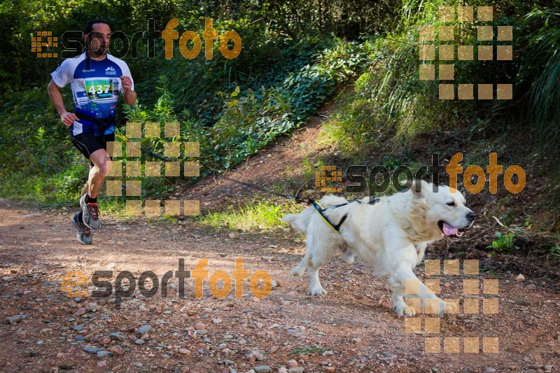 Esport Foto - Esportfoto .CAT - Fotos de 90 Canicross i Cursa Eramprunyà 2015 - Dorsal [437] -   1424642992_0421.jpg