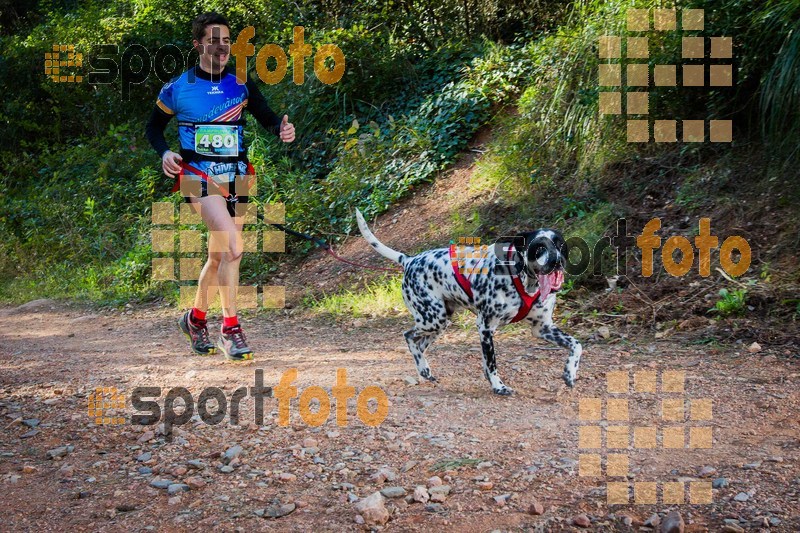 Esport Foto - Esportfoto .CAT - Fotos de 90 Canicross i Cursa Eramprunyà 2015 - Dorsal [480] -   1424642998_0424.jpg