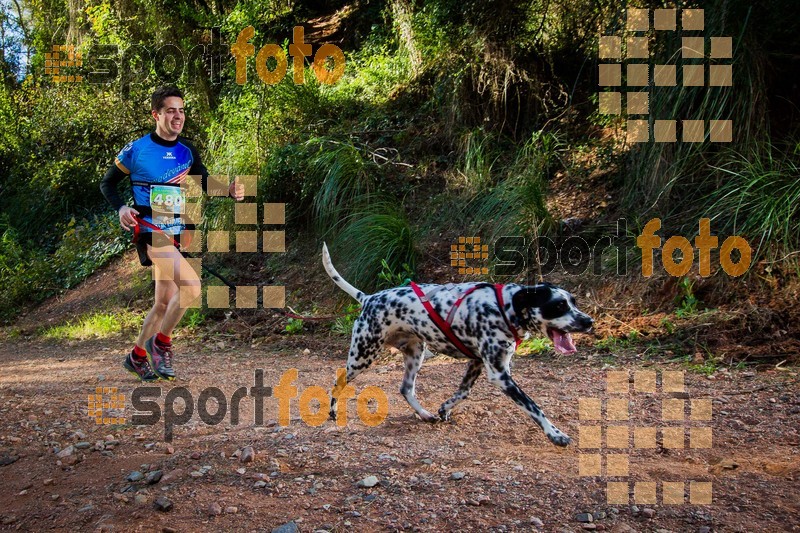 Esport Foto - Esportfoto .CAT - Fotos de 90 Canicross i Cursa Eramprunyà 2015 - Dorsal [480] -   1424643000_0425.jpg