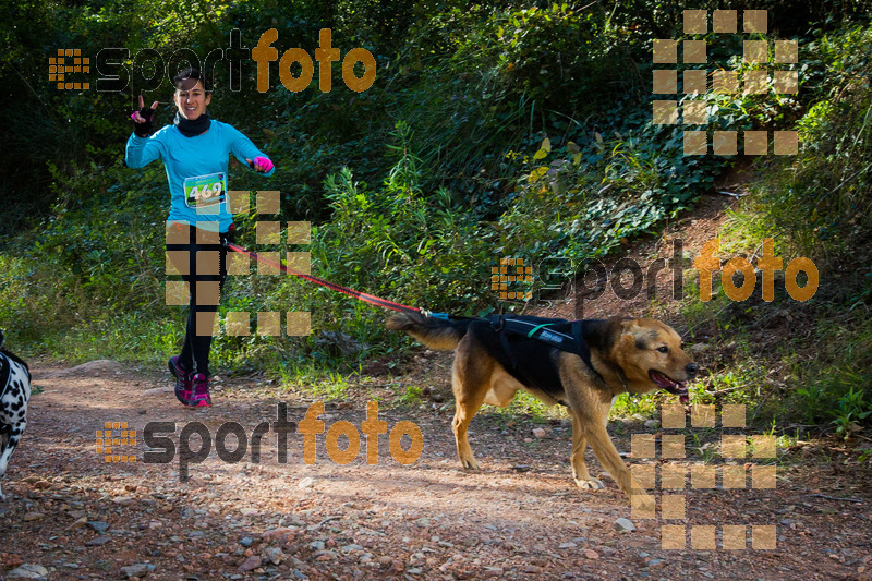 Esport Foto - Esportfoto .CAT - Fotos de 90 Canicross i Cursa Eramprunyà 2015 - Dorsal [469] -   1424643002_0426.jpg