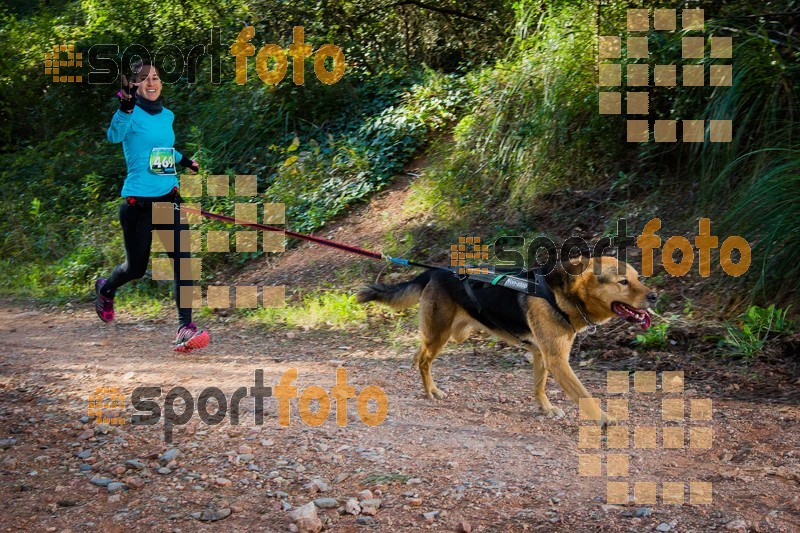 Esport Foto - Esportfoto .CAT - Fotos de 90 Canicross i Cursa Eramprunyà 2015 - Dorsal [469] -   1424643003_0427.jpg