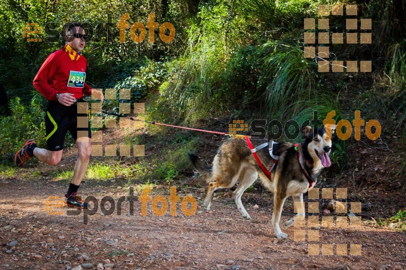 Esport Foto - Esportfoto .CAT - Fotos de 90 Canicross i Cursa Eramprunyà 2015 - Dorsal [434] -   1424643027_0438.jpg