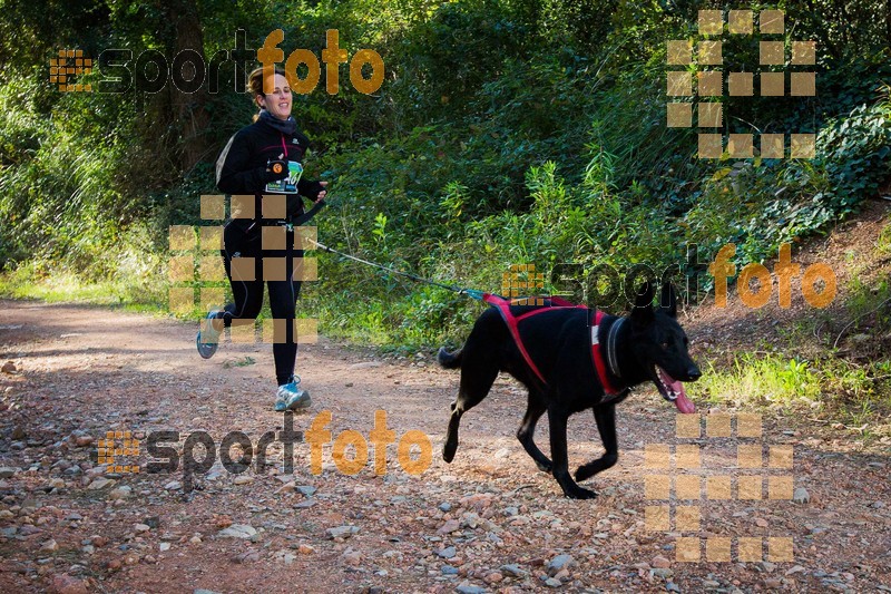 Esport Foto - Esportfoto .CAT - Fotos de 90 Canicross i Cursa Eramprunyà 2015 - Dorsal [446] -   1424643029_0439.jpg