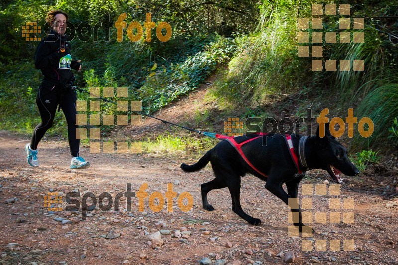 Esport Foto - Esportfoto .CAT - Fotos de 90 Canicross i Cursa Eramprunyà 2015 - Dorsal [446] -   1424643031_0440.jpg