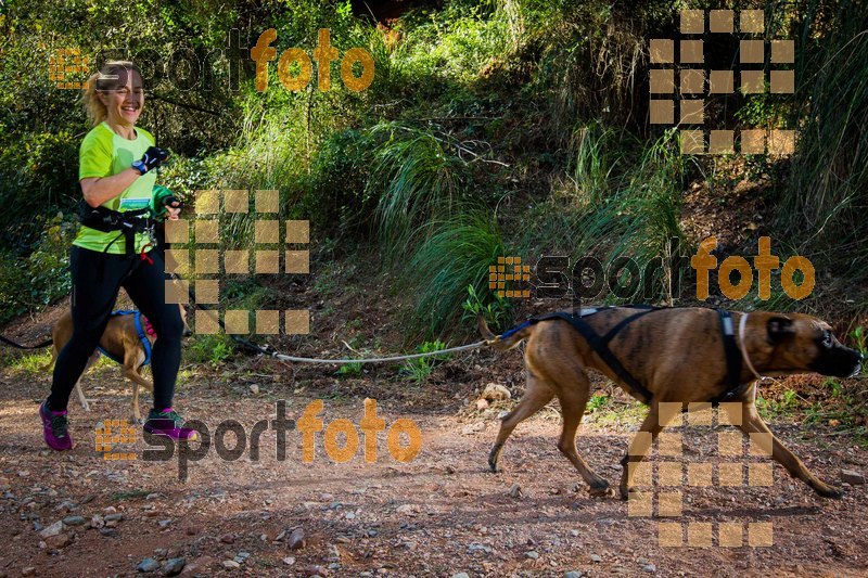 Esport Foto - Esportfoto .CAT - Fotos de 90 Canicross i Cursa Eramprunyà 2015 - Dorsal [423] -   1424643048_0448.jpg