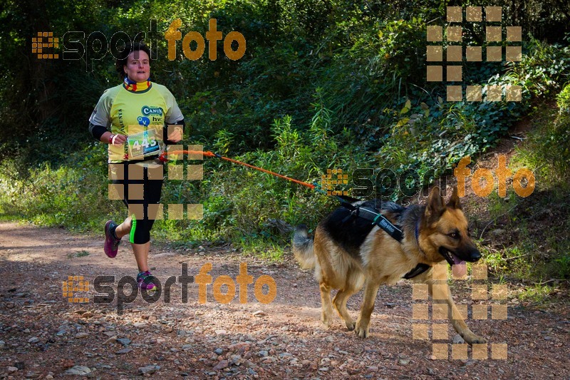 Esport Foto - Esportfoto .CAT - Fotos de 90 Canicross i Cursa Eramprunyà 2015 - Dorsal [443] -   1424643056_0451.jpg