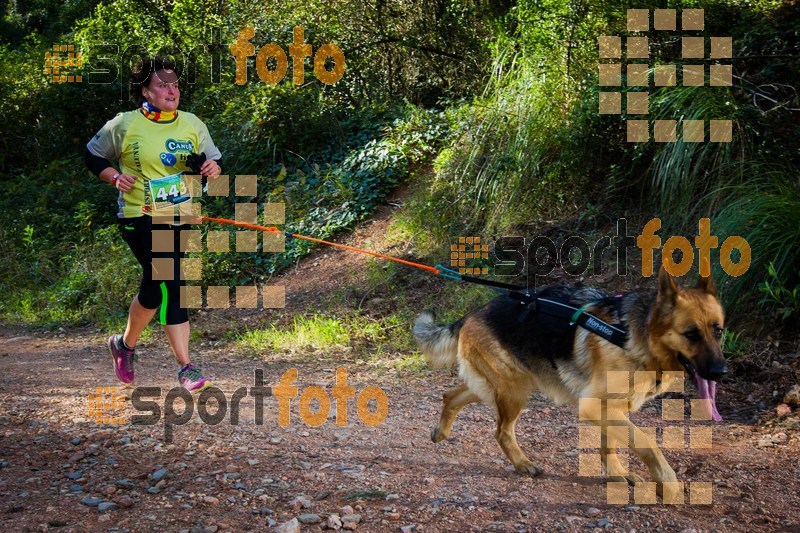 Esport Foto - Esportfoto .CAT - Fotos de 90 Canicross i Cursa Eramprunyà 2015 - Dorsal [443] -   1424643057_0452.jpg