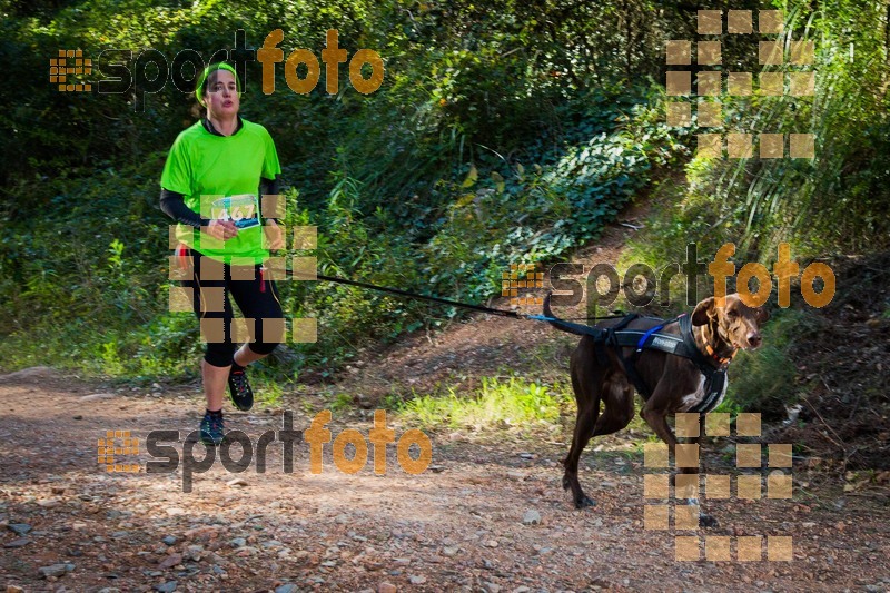 Esport Foto - Esportfoto .CAT - Fotos de 90 Canicross i Cursa Eramprunyà 2015 - Dorsal [467] -   1424643070_0458.jpg