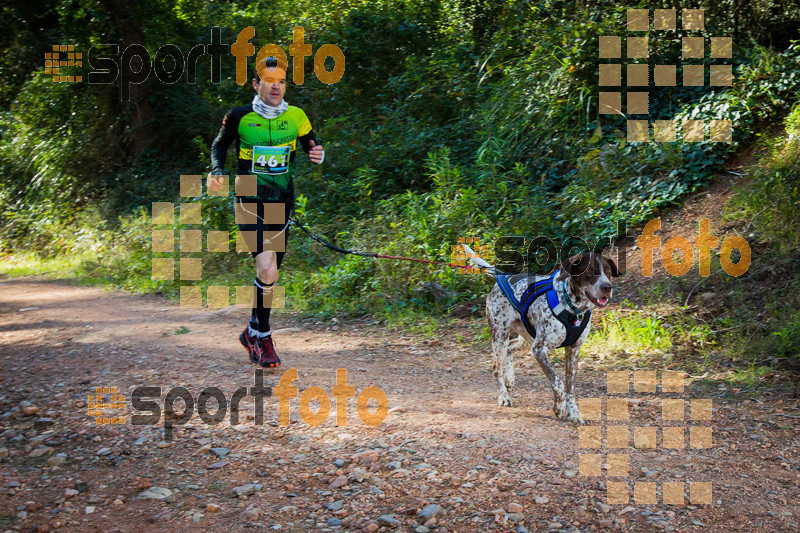 Esport Foto - Esportfoto .CAT - Fotos de 90 Canicross i Cursa Eramprunyà 2015 - Dorsal [461] -   1424643085_0465.jpg