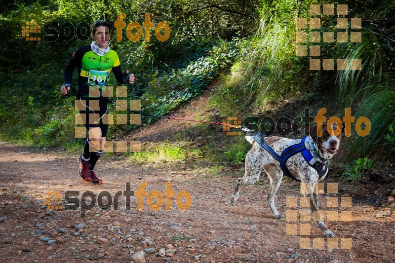 Esport Foto - Esportfoto .CAT - Fotos de 90 Canicross i Cursa Eramprunyà 2015 - Dorsal [461] -   1424643087_0466.jpg