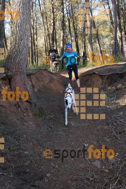 Esport Foto - Esportfoto .CAT - Fotos de 90 Canicross i Cursa Eramprunyà 2015 - Dorsal [426] -   1424643114_0491.jpg