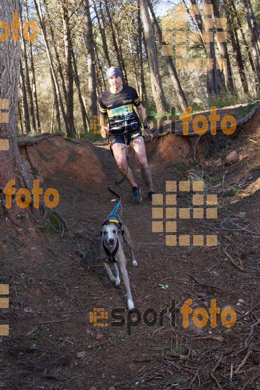Esport Foto - Esportfoto .CAT - Fotos de 90 Canicross i Cursa Eramprunyà 2015 - Dorsal [415] -   1424643117_0493.jpg