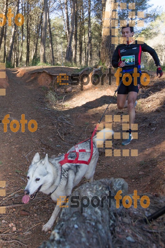 Esport Foto - Esportfoto .CAT - Fotos de 90 Canicross i Cursa Eramprunyà 2015 - Dorsal [421] -   1424643125_0498.jpg