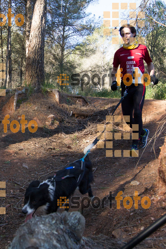 Esport Foto - Esportfoto .CAT - Fotos de 90 Canicross i Cursa Eramprunyà 2015 - Dorsal [0] -   1424643158_0518.jpg