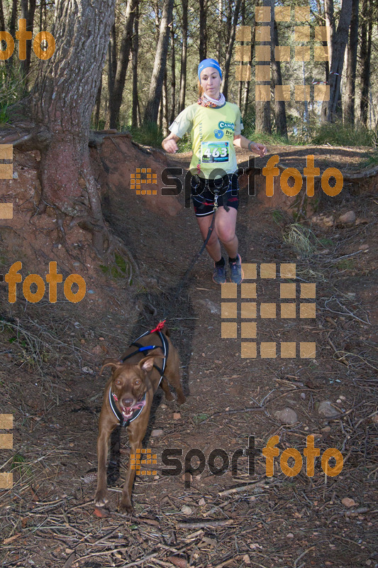 Esport Foto - Esportfoto .CAT - Fotos de 90 Canicross i Cursa Eramprunyà 2015 - Dorsal [463] -   1424643189_0534.jpg