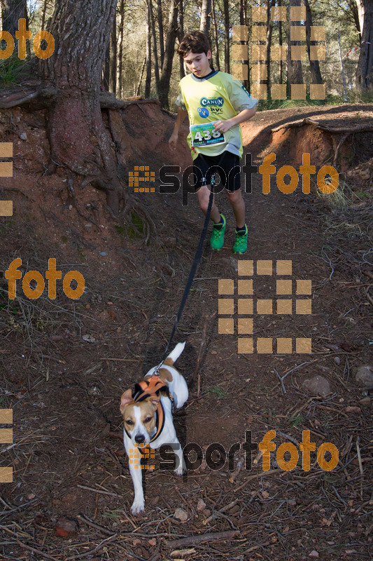 Esport Foto - Esportfoto .CAT - Fotos de 90 Canicross i Cursa Eramprunyà 2015 - Dorsal [438] -   1424643210_0550.jpg