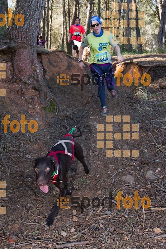 Esport Foto - Esportfoto .CAT - Fotos de 90 Canicross i Cursa Eramprunyà 2015 - Dorsal [472] -   1424643217_0555.jpg
